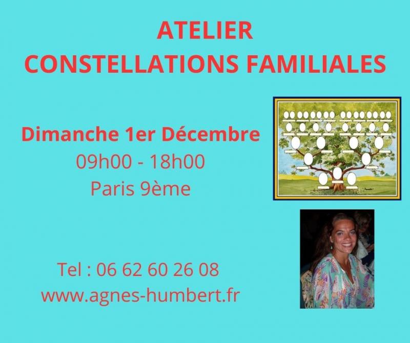 image de l'annonce 50127