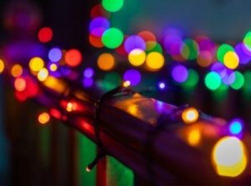 image de l'annonce 50130