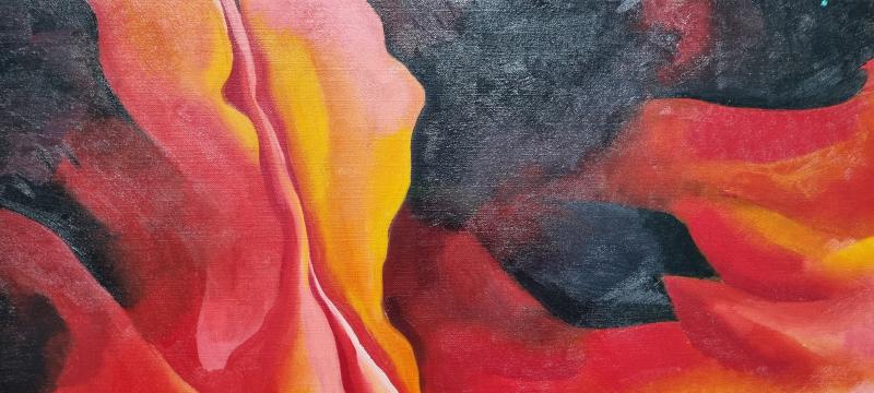 image de l'annonce 50133