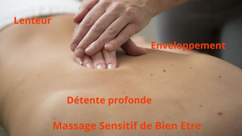 image de l'annonce 50183