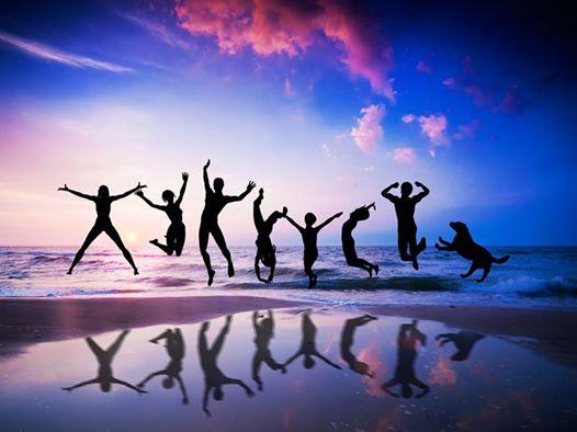 image de l'annonce 50191