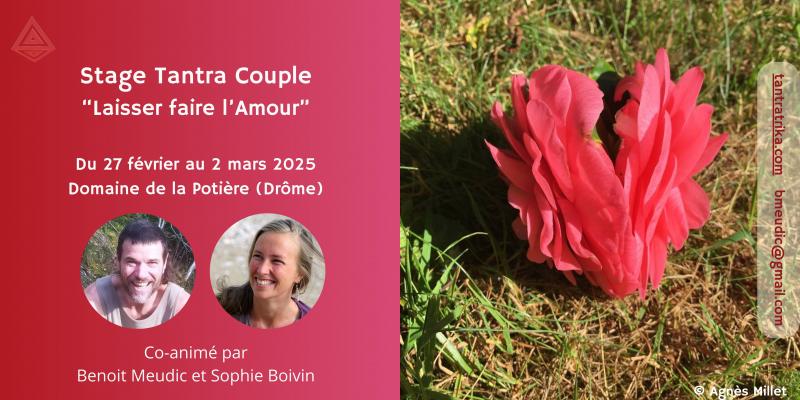 image de l'annonce 50199