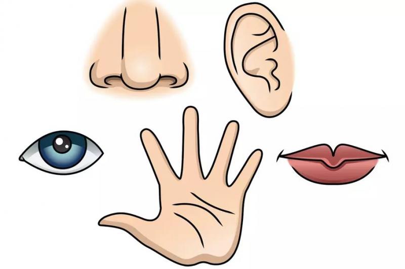 image de l'annonce 50285