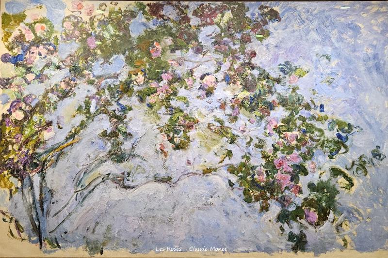 image de l'annonce 50291