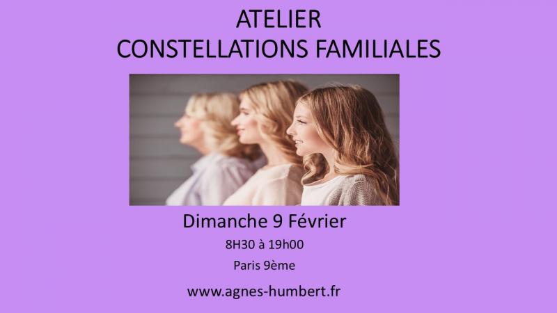image de l'annonce 50383