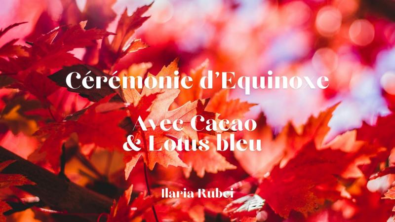 image de l'annonce 50430