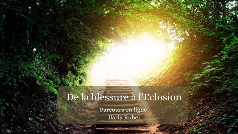 image de l'annonce 50473