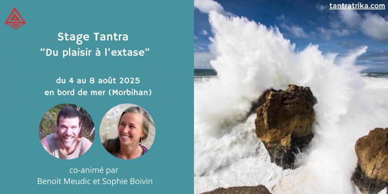 image de l'annonce 50478