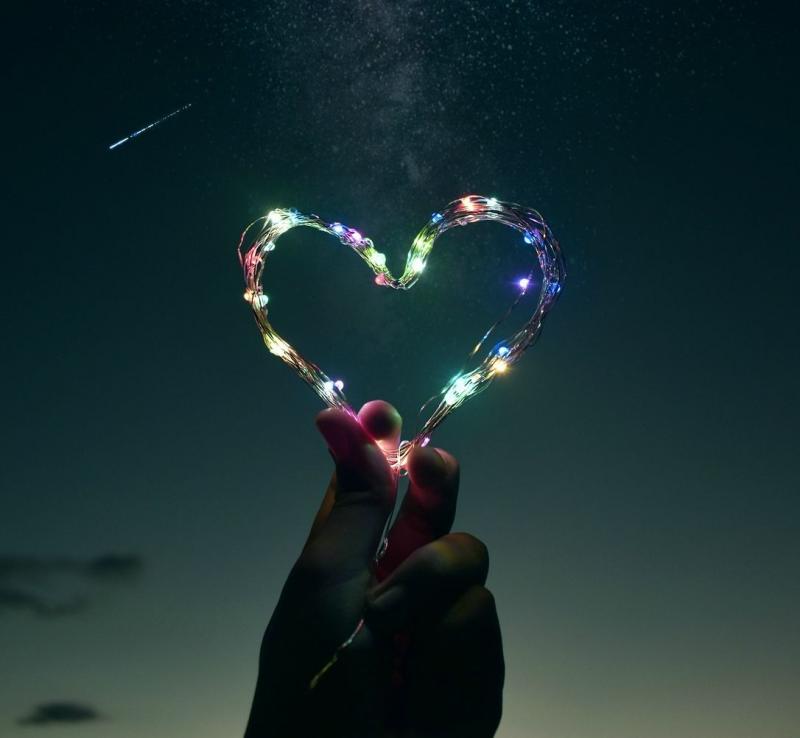 image de l'annonce 50484