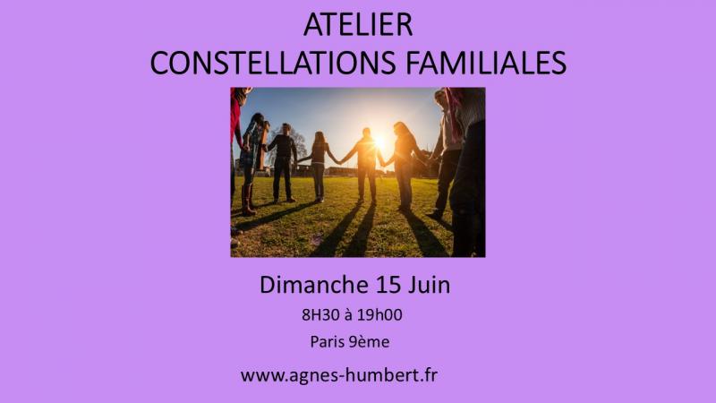 image de l'annonce 50492