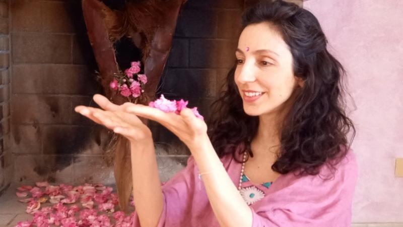 image de l'annonce 50734