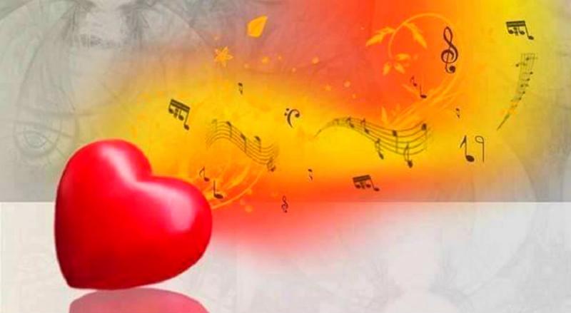 image de l'annonce 50855