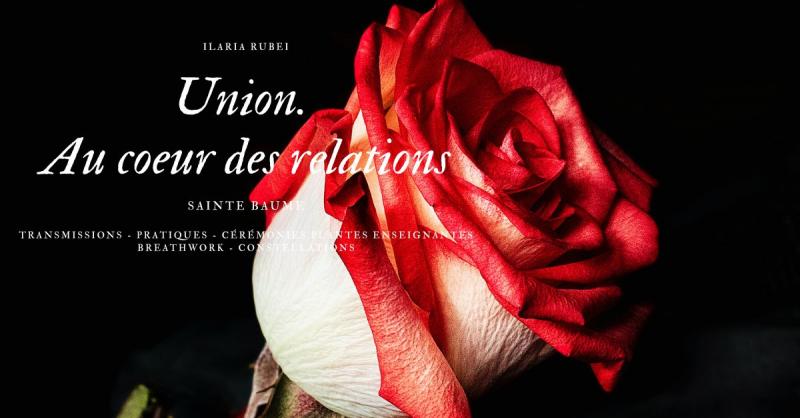 image de l'annonce 50920