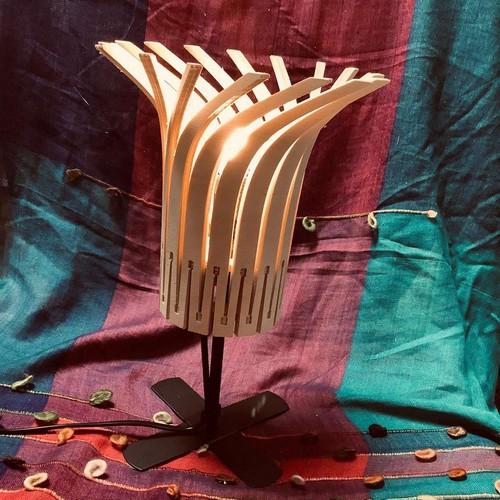 image de l'annonce 51316