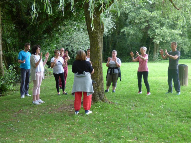 image de l'annonce 51353