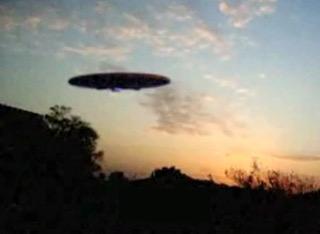 image de l'annonce 51480