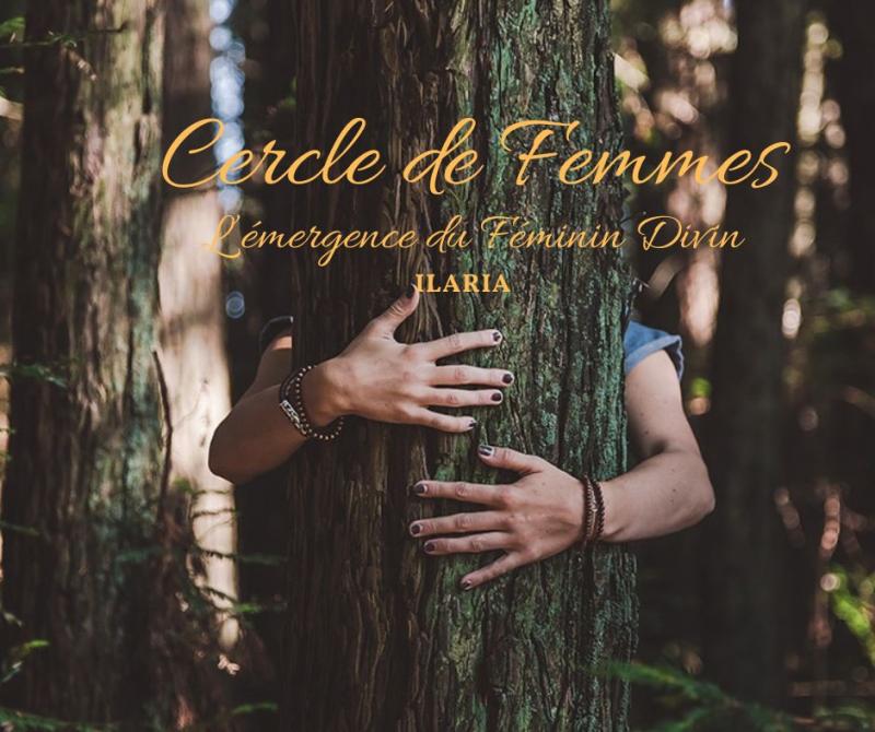 image de l'annonce 46683