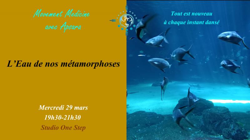 image de l'annonce 48668