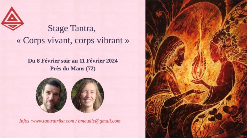 image de l'annonce 49006
