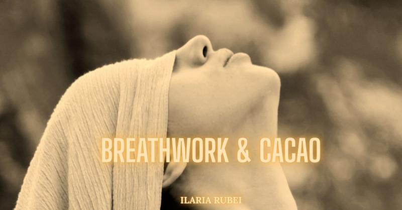 image de l'annonce 49099