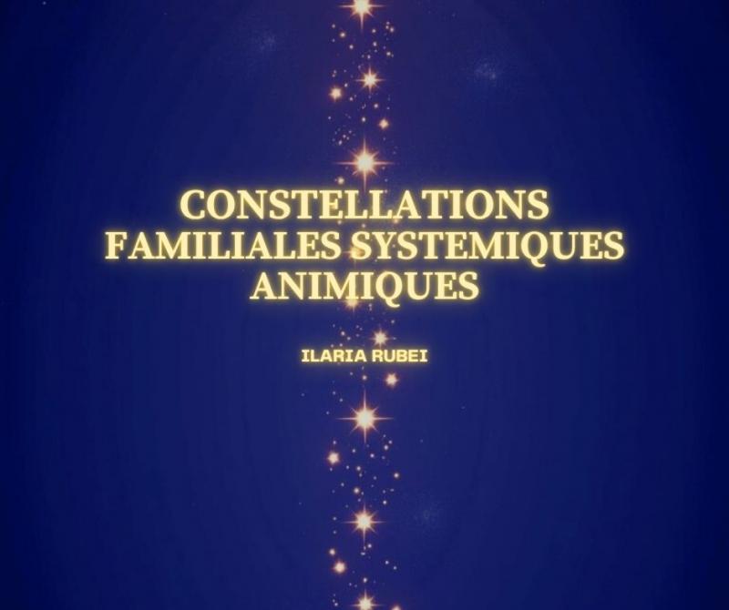 image de l'annonce 49134