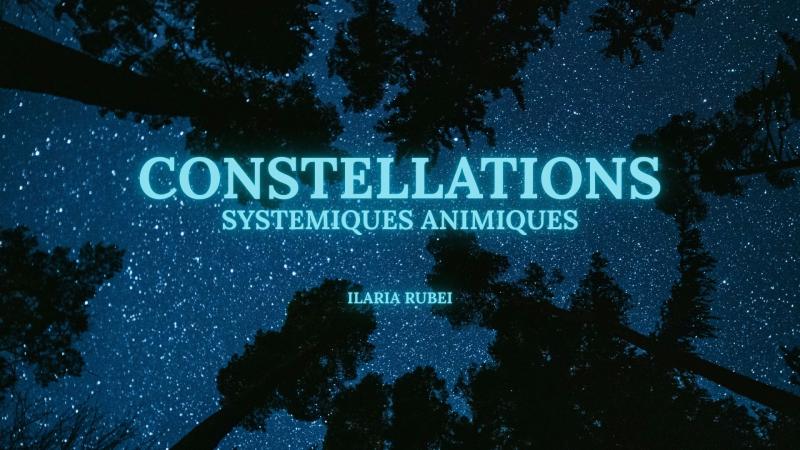 image de l'annonce 49134