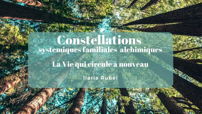 image de l'annonce 49134