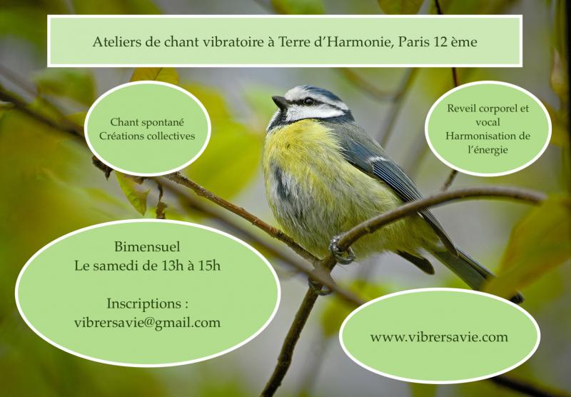 image de l'annonce 49223