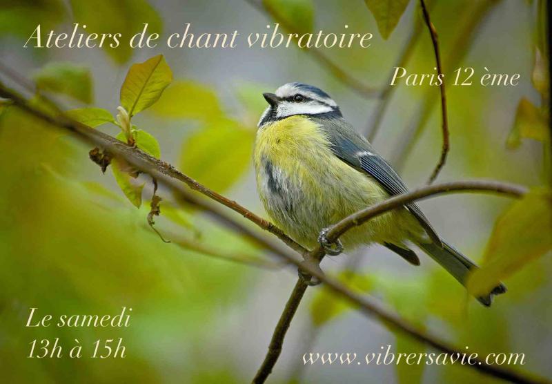 image de l'annonce 49429