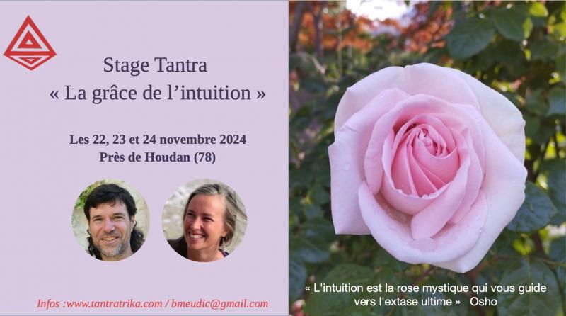 image de l'annonce 49458
