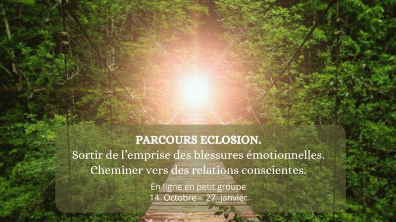 image de l'annonce 49633