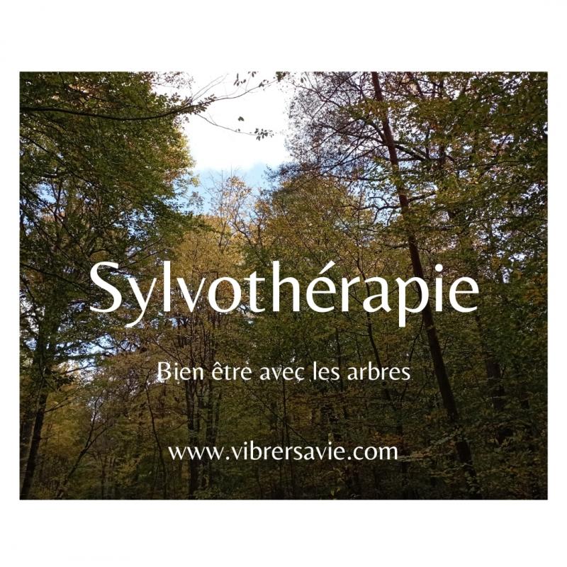 image de l'annonce 49694