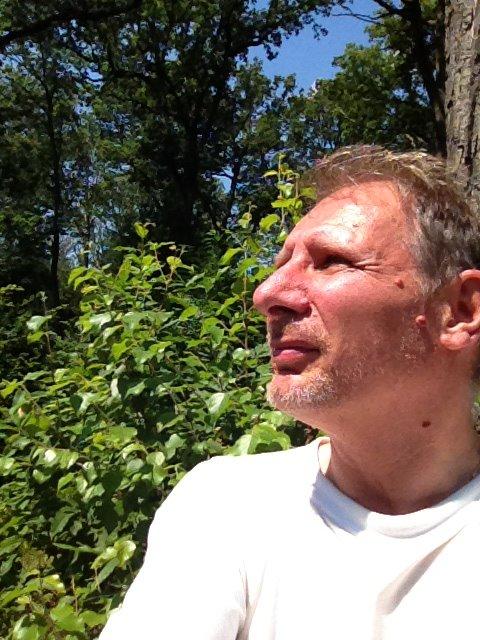 image de l'annonce 50297